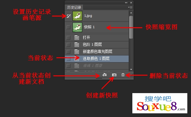 Photoshop CC中文版利用历史记录面板快照还原图像基础入门操作教程