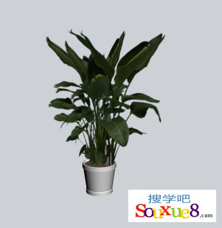 3DsMax2016中文版利用贴图模拟出三维的植物效果透空贴图实例3D教程
